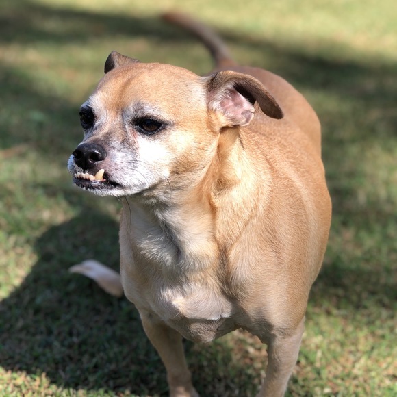 Meet your Posher, C.R.M - Picture 5 of 6